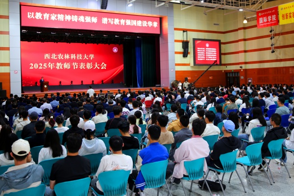 银龄教师纪念章1.jpg
