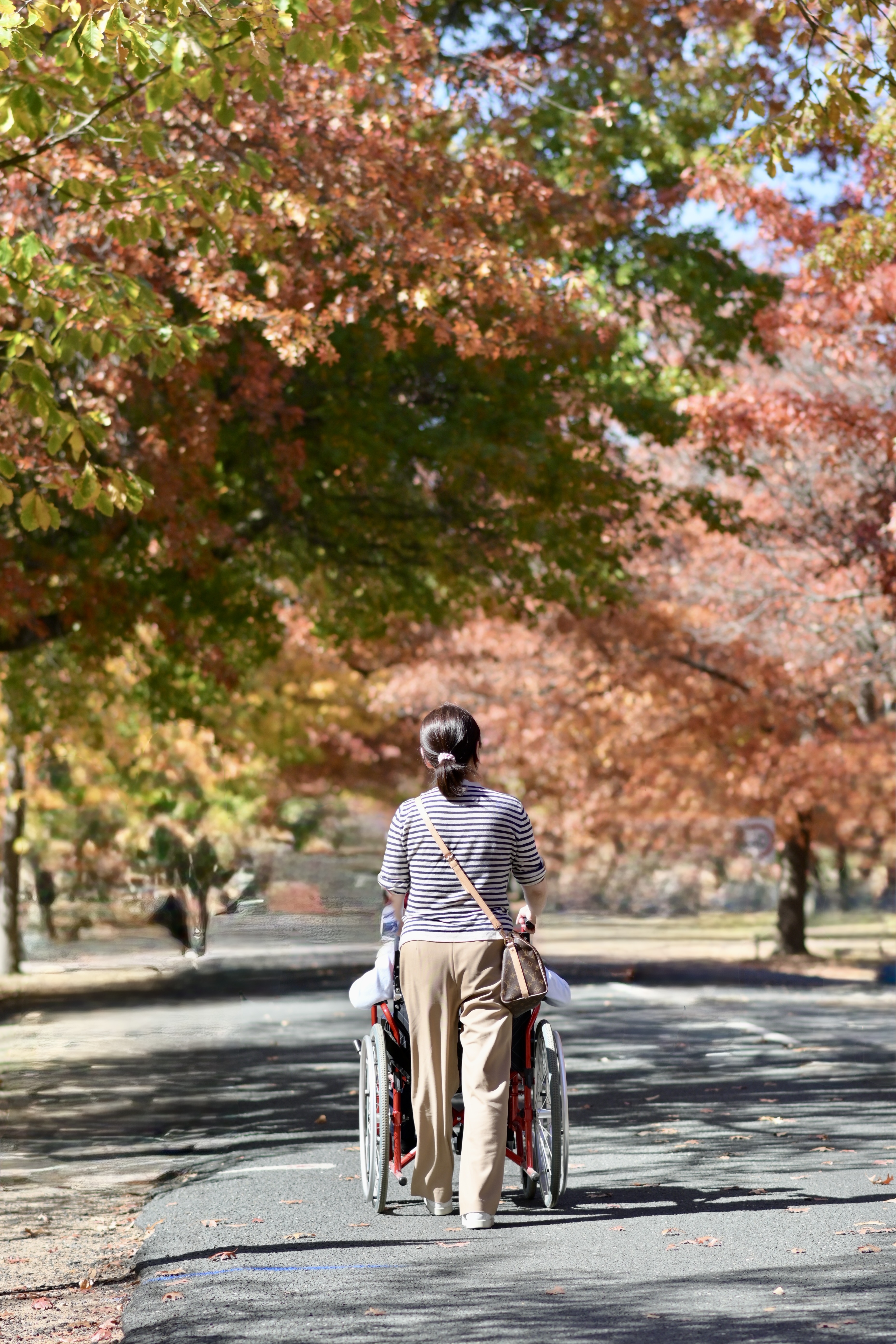 摄影三等奖 作者段慧 作品名称秋.jpg