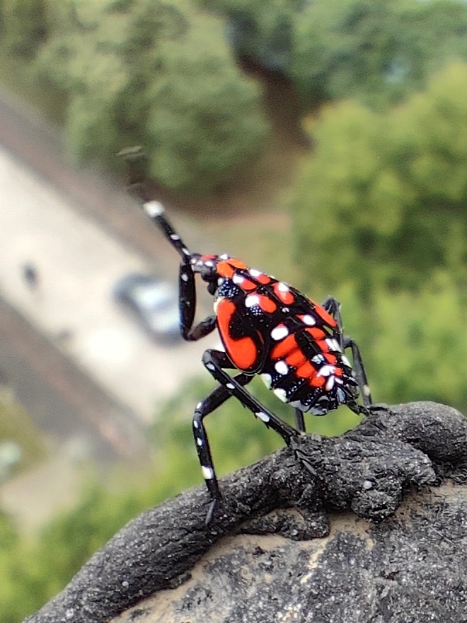 摄影二等奖 作者钱殷 作品名称守望.jpg