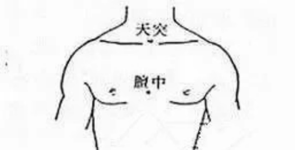 膻中穴_副本.jpg