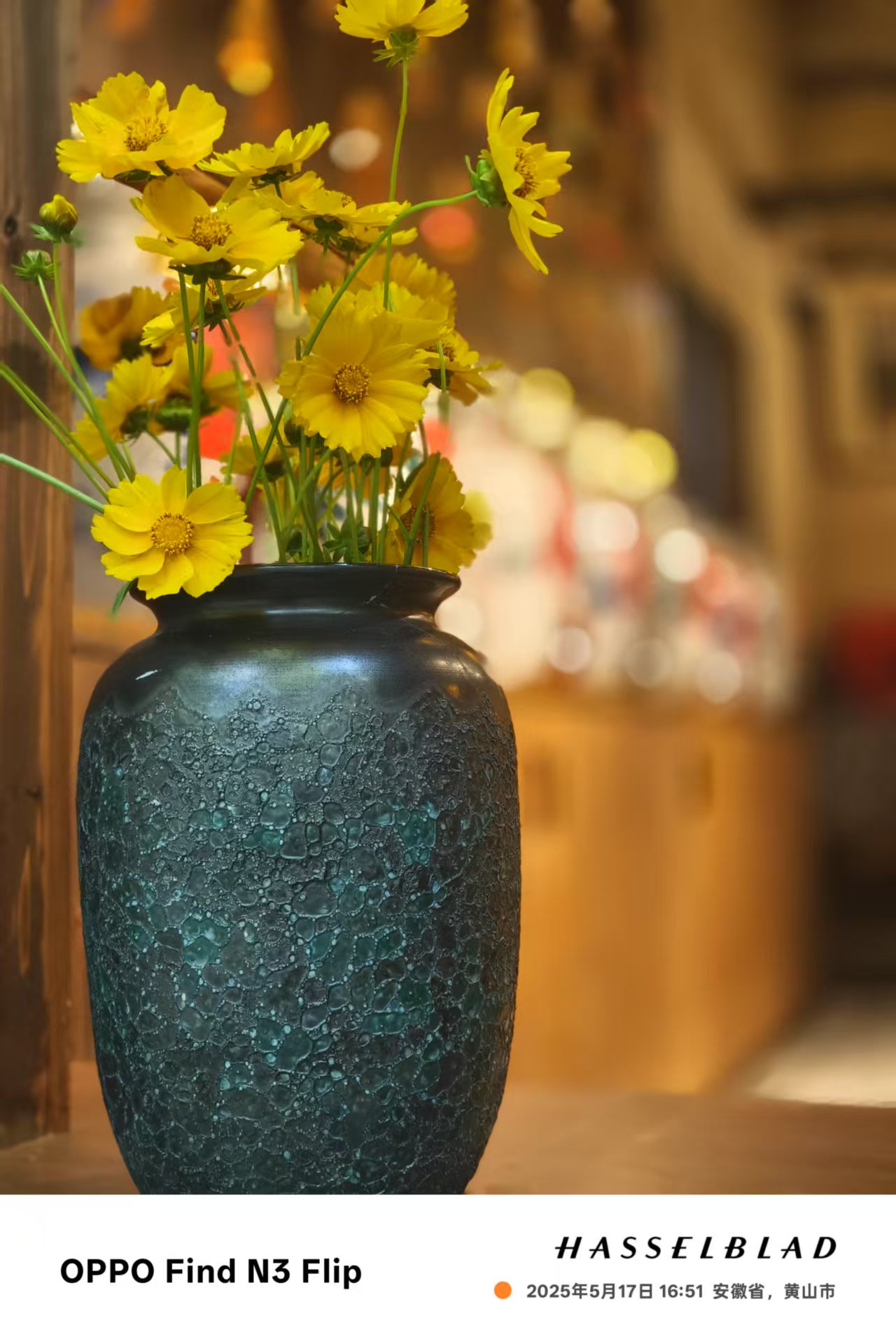 摄影三等奖 作者张锦荣 作品名称菊.jpg