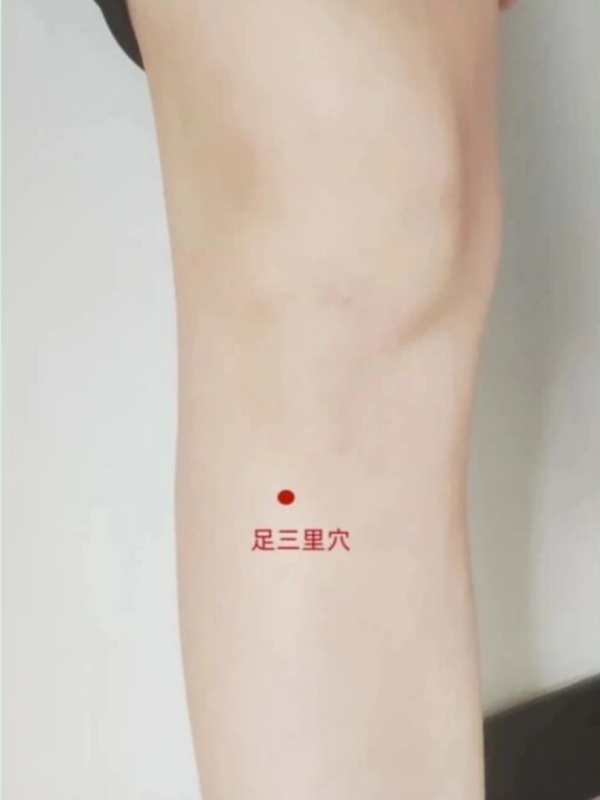 足三里穴_副本.jpg