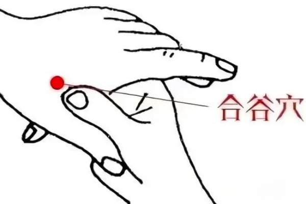 合谷穴_副本.jpg