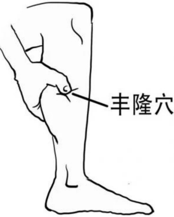 丰隆穴_副本.jpg