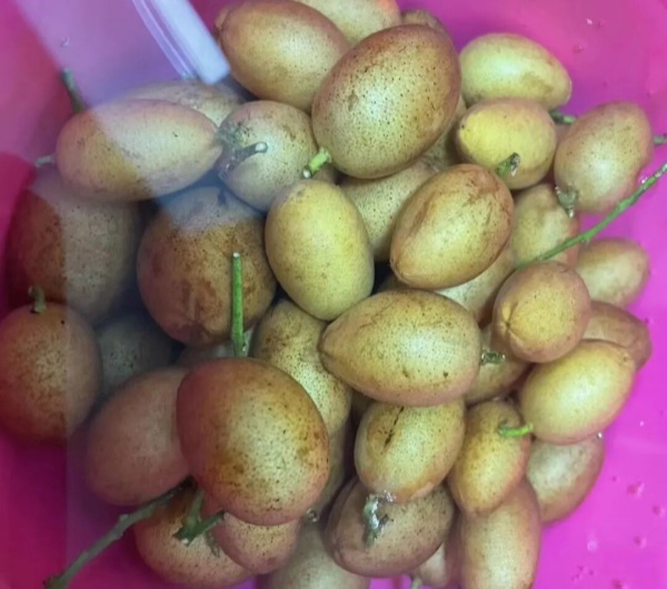 泡水鲜食_副本.jpg