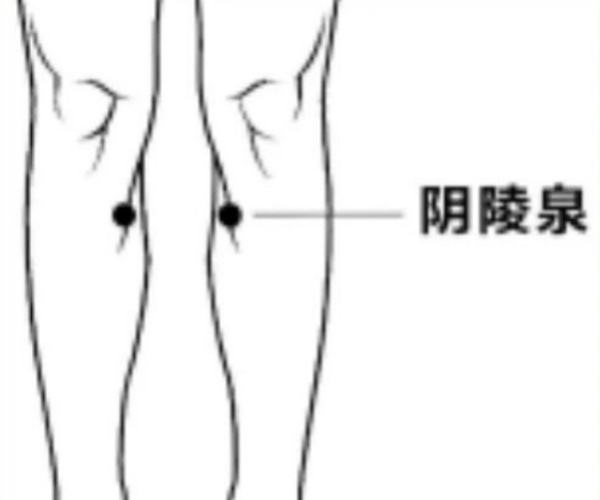 阴陵泉_副本.jpg