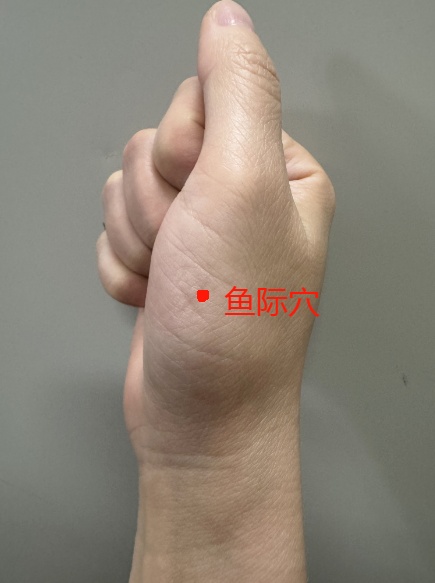 鱼际穴_副本.jpg